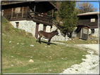 foto Piani di Bobbio